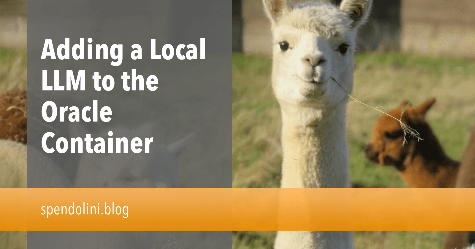 Adding a Local LLM to the Oracle Container