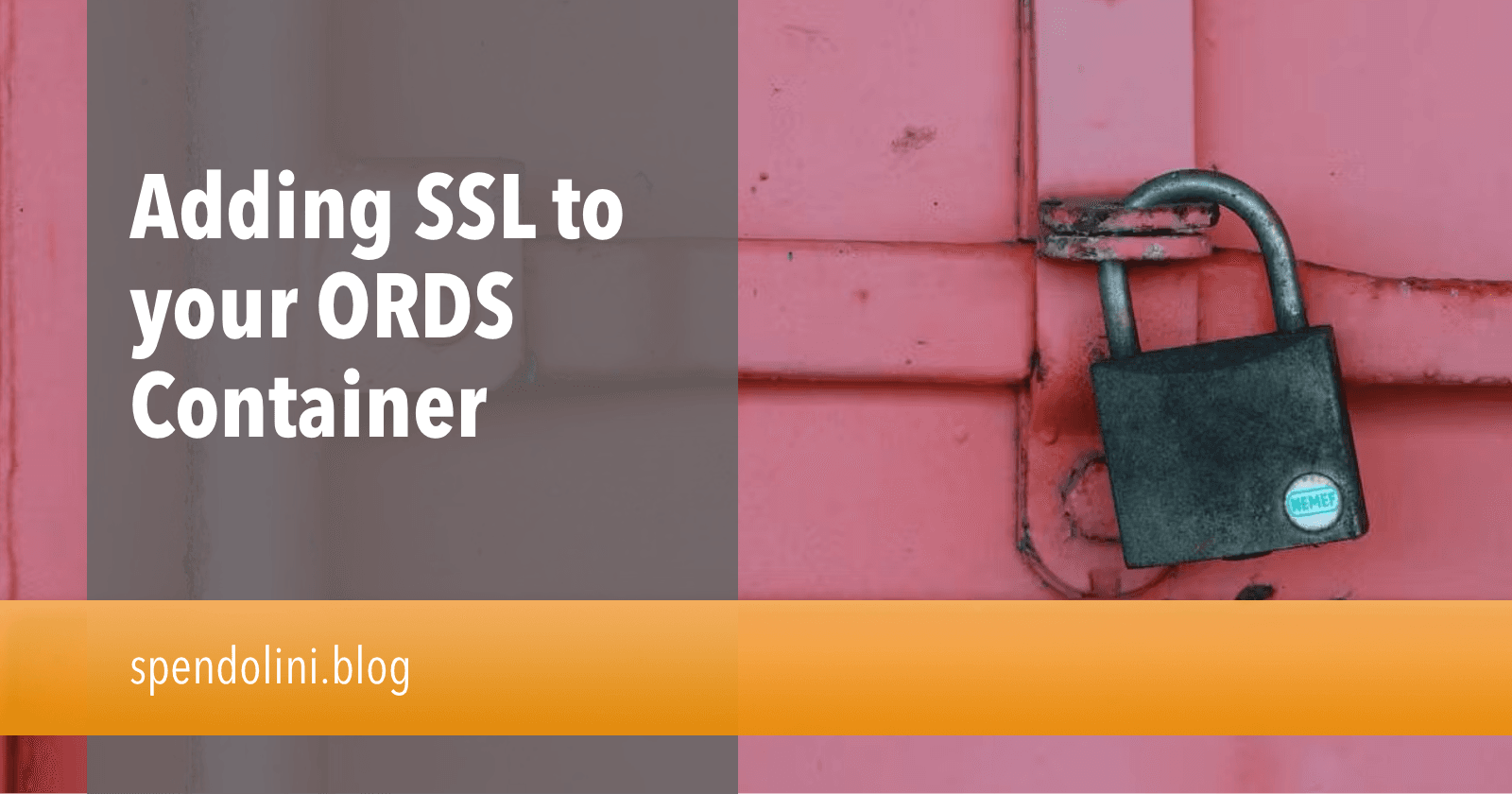 Adding SSL to your ORDS Container
